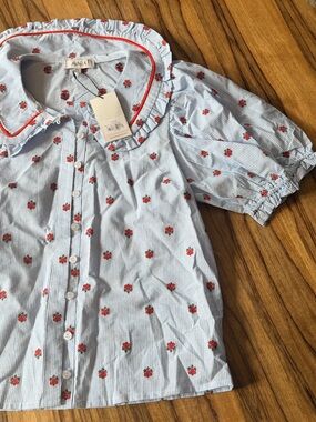 Avara Blue Striped Floral Print Top